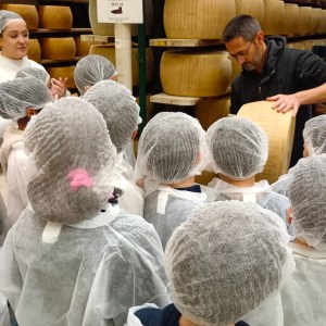 Parma Parmigiano Tour & Tasting Experience