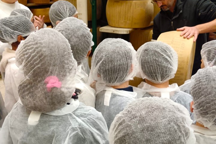 Parma Parmigiano Tour & Tasting Experience