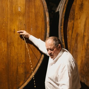 Asturias Cider Origins Experience