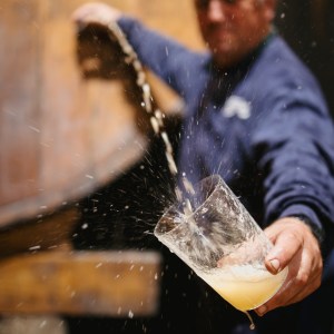 Asturias Cider Origins Experience