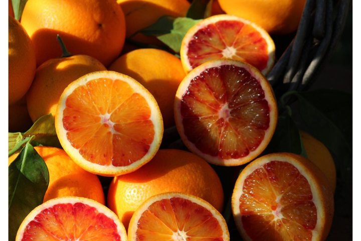 Provence Citrus Estate Guided Tour Experience