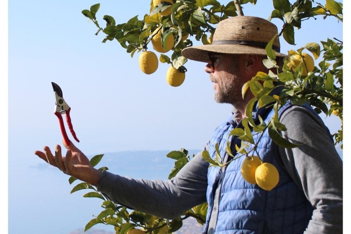 Provence Citrus Estate Guided Tour Experience