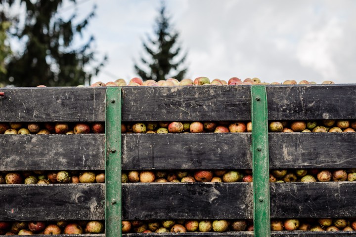 Asturias Cider Origins Experience