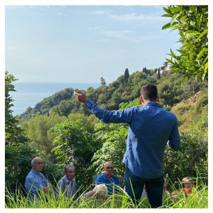 Provence Citrus Estate Guided Tour Experience