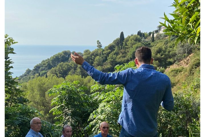 Provence Citrus Estate Guided Tour Experience