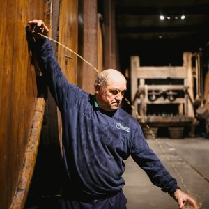 Asturias Cider Origins Experience