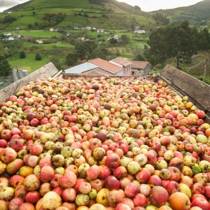 Asturias Cider Origins Experience