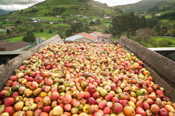 Asturias Cider Origins Experience