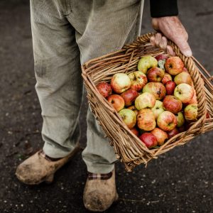 Asturias Cider Origins Experience