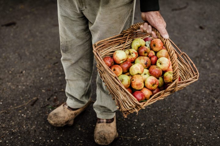 Asturias Cider Origins Experience