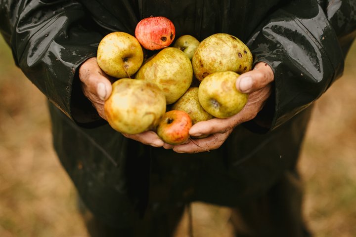 Asturias Cider Origins Experience