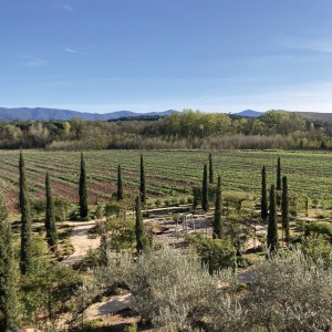 Provence Wine & Cheese Experience