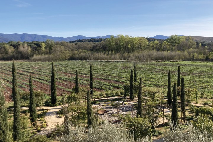 Provence Wine & Cheese Experience