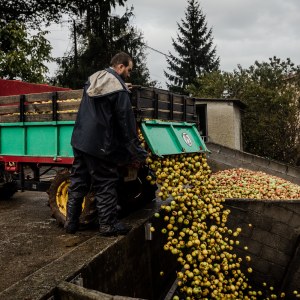 Asturias Cider Origins Experience