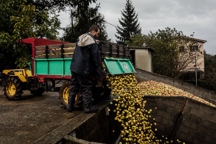 Asturias Cider Origins Experience