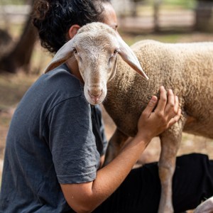 Provence Wine & Cheese Experience