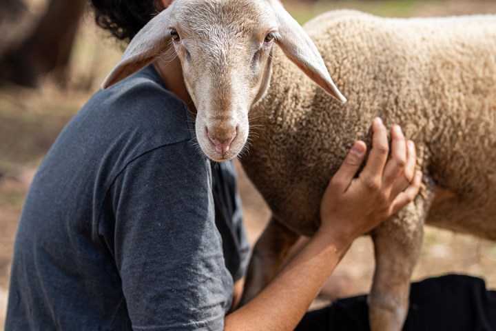 Provence Wine & Cheese Experience