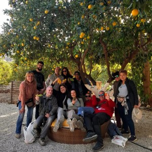 Murcia Citrus Tour Experience