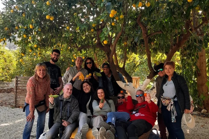 Murcia Citrus Tour Experience