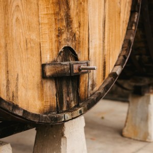 Asturias Cider Origins Experience