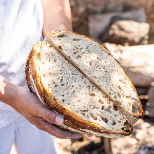 Provence Wine & Cheese Experience