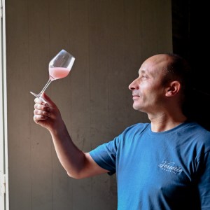 Provence Wine Knowledge Tour Experience