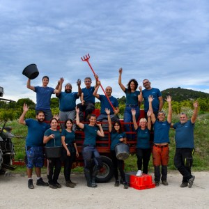 Provence Wine Knowledge Tour Experience