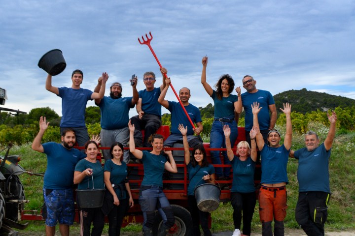 Provence Wine Knowledge Tour Experience