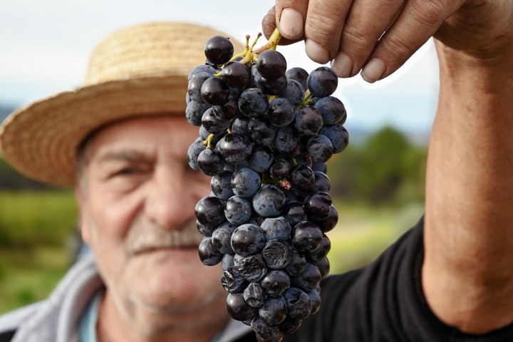 Provence Wine Knowledge Tour Experience