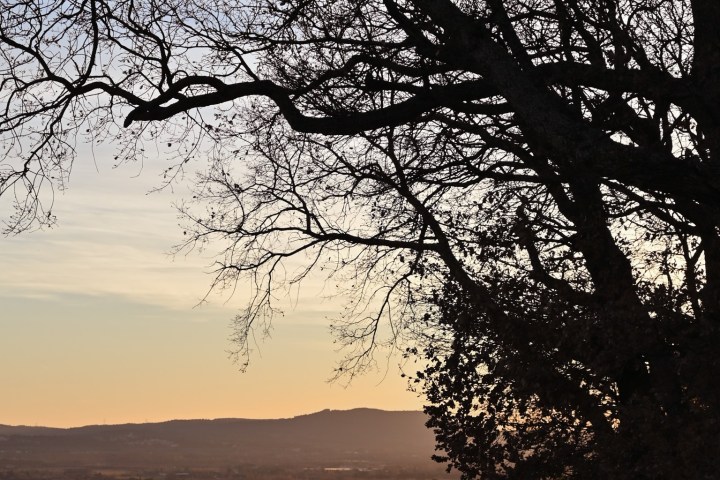 Provence Wine Knowledge Tour Experience