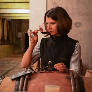 Provence Wine Knowledge Tour Experience