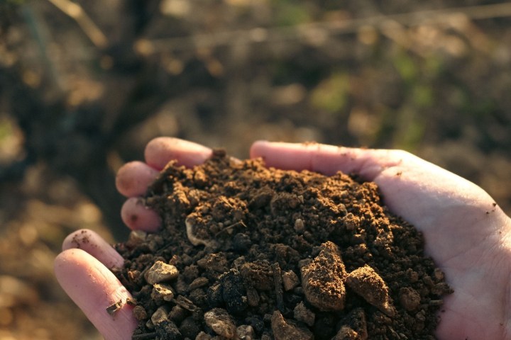 Provence Wine Knowledge Tour Experience