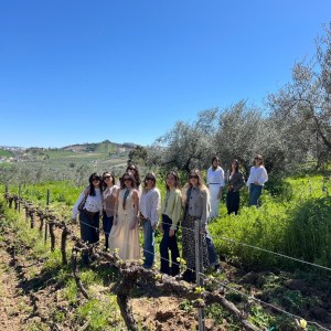 Córdoba Wine Tasting Experience