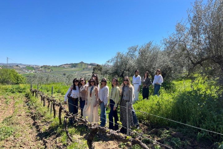 Córdoba Wine Tasting Experience