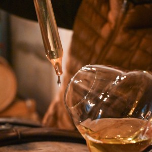 Provence Wine Knowledge Tour Experience