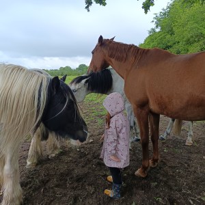 Brittany Guided Farm Tour Experience