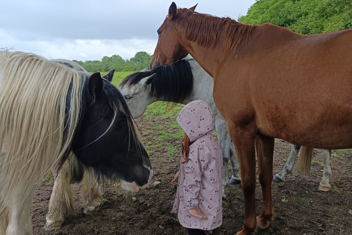 Brittany Guided Farm Tour Experience