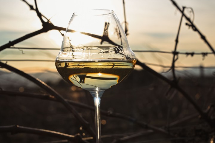 Provence Wine Knowledge Tour Experience