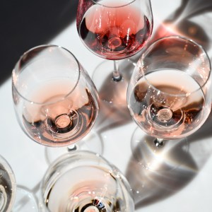 Provence Wine Knowledge Tour Experience