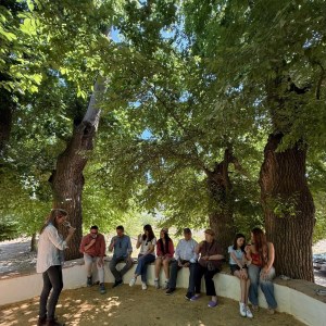 Córdoba Wine Tasting Experience