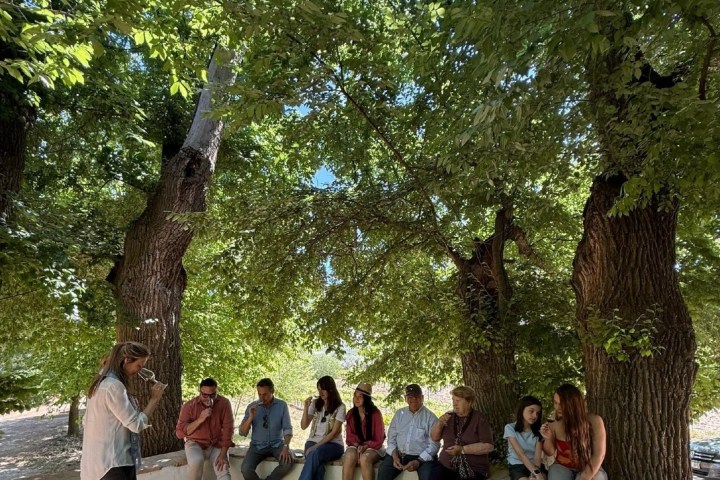 Córdoba Wine Tasting Experience