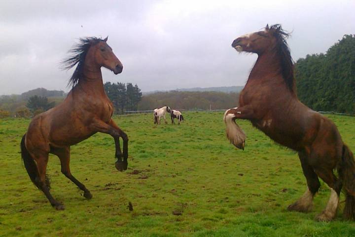 Brittany Guided Farm Tour Experience