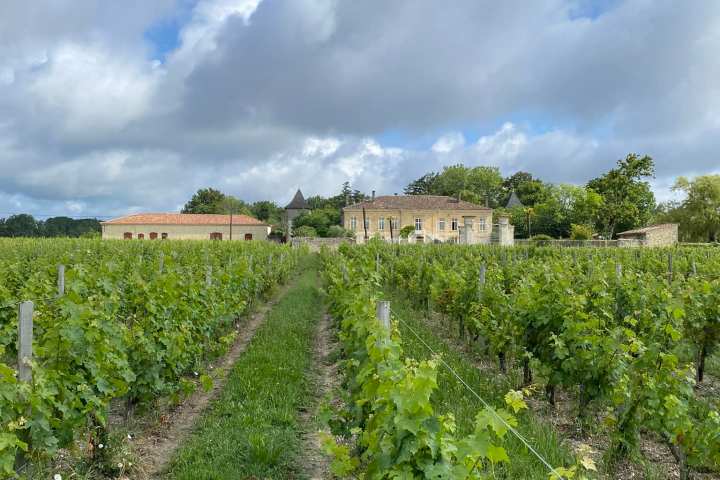 Bordeaux Wine Tasting & Platters Experience