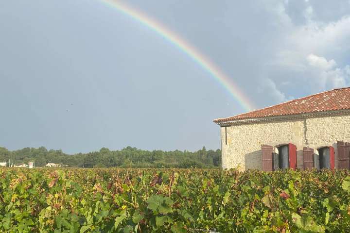 Bordeaux Wine Tasting & Platters Experience