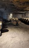 Bordeaux Domaine Tour & Wine Tasting Experience