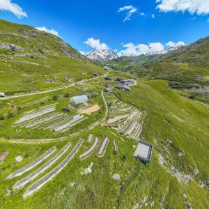 Alps Farm Guided Tour & Cheese Tasting Experience