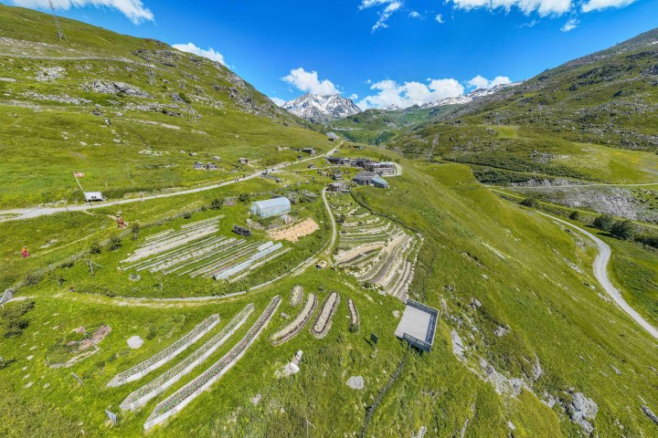 Alps Farm Guided Tour & Cheese Tasting Experience