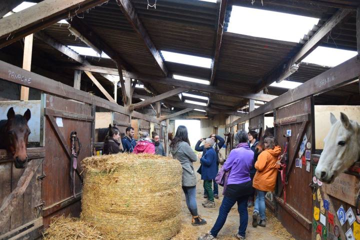Brittany Guided Farm Tour Experience