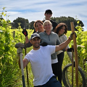 Provence Wine Knowledge Tour Experience