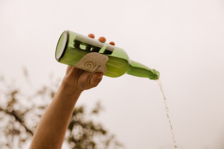 Asturias Cider Origins Experience